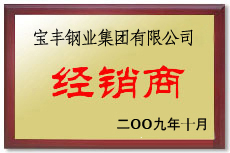 成县宝丰经销商